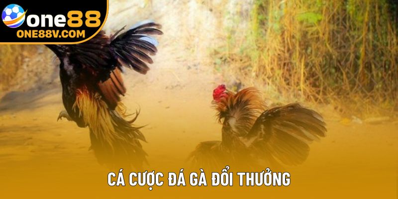Cá Cược Đá Gà Đổi Thưởng – Sân Chơi Gay Cấn Cho Anh Em