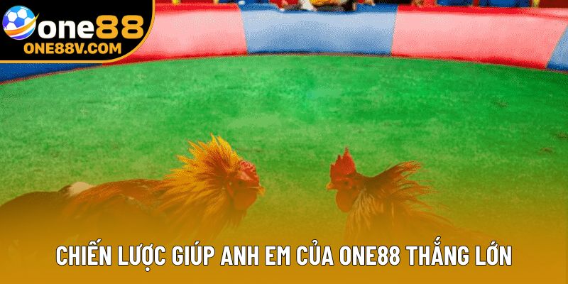 Chiến lược giúp anh em của One88 thắng lớn