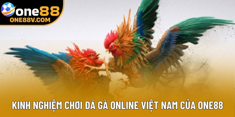 Kinh nghiệm chơi đá gà online Việt Nam của One88