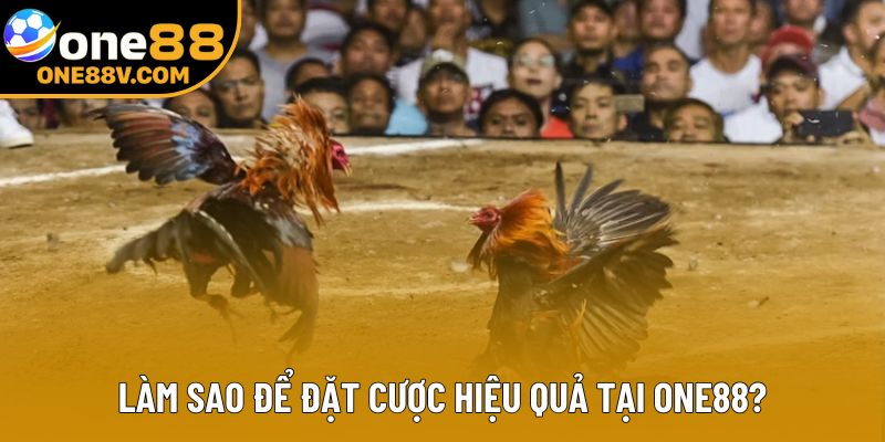 Làm sao để đặt cược hiệu quả tại One88?