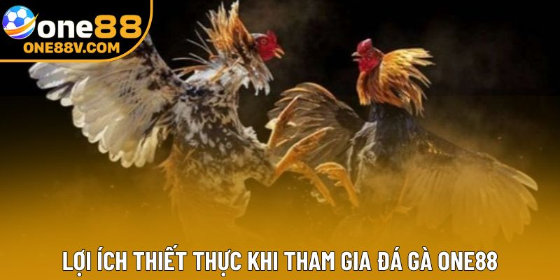 Lợi ích thiết thực khi tham gia đá gà One88