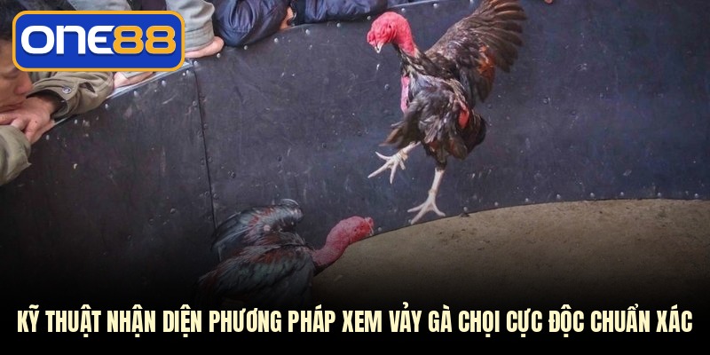 Kỹ thuật nhận diện phương pháp xem vảy gà chọi cực độc chuẩn xác
