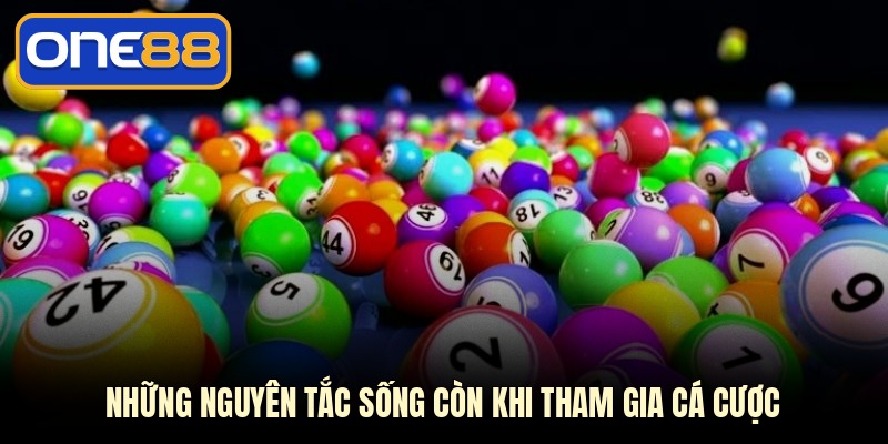 Những nguyên tắc sống còn khi tham gia cá cược